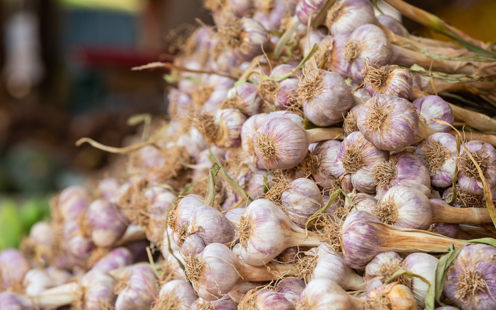 Bawang-Putih