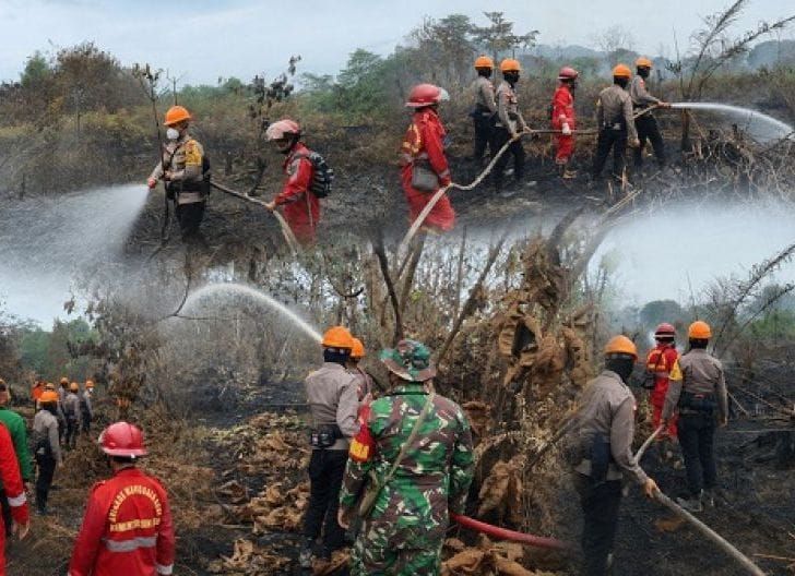 1786496443_prabowo_dorong_kolaborasi_lintas_sektor_untuk_tekan_risiko_karhutla