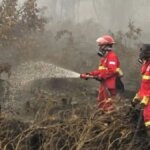 Warganet-Soroti-Karhutla-Kalimantan-Kemenhut-Sebut-Titik-Api-Bertambah-Kualitas-Udara-Berbahaya