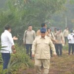prabowo-karhutla-kalbar-1