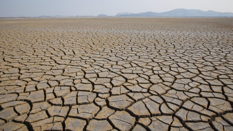 El-Nino-dan-Kekeringan-Dijawab-dengan-Langkah-Cepat-Terukur-dan-Terpadu