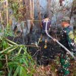 berita_1788335508