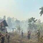 berita_1789017896