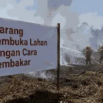 berita_1789017968