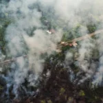 berita_1789019718