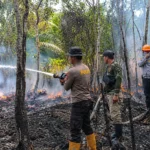 1787552712553641_386fc686eb_berita_entikong