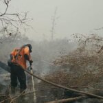 1791939637_hot_spot_nasional_turun_bukti_nyata_kerja_keras_pemerintah_mengendalikan_karhutla