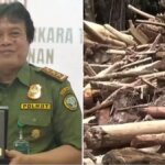 Sosok-Dwi-Januanto-Dirjen-Gakum-Kemenhut-yang-Disorot-Buntut-Kayu-Gelondongan-di-Banjir-Sumut
