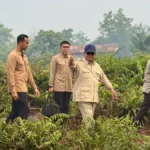 presiden-ri-prabowo-subianto-meninjau-langsung-lokasi-karhutla-di-desa-limbung-kecamatan-sungai-raya-kalimantan-barat-pada-sabtu-228-meidy-khadafipontianak-post-0MKGn